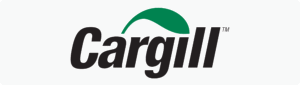 Agrupar 2